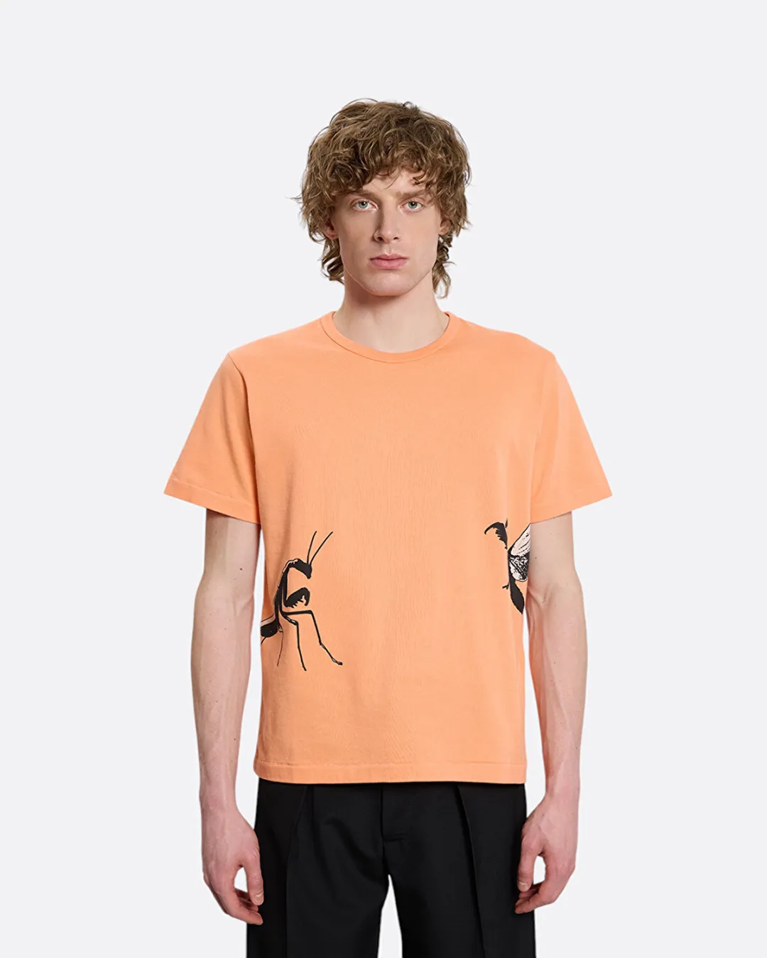 Praying Mantis Turuncu Erkek T-Shirt - 3