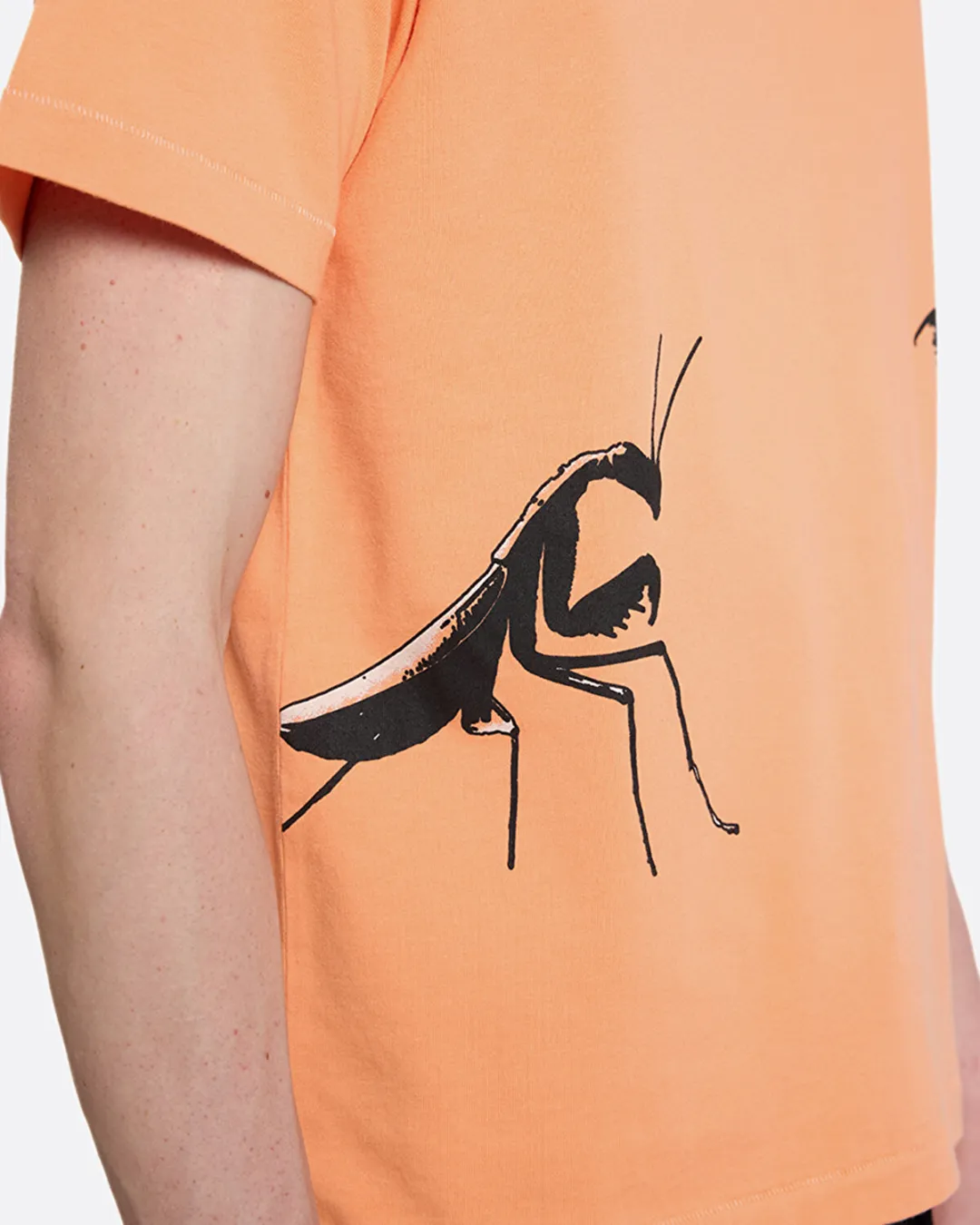 Praying Mantis Turuncu Erkek T-Shirt - 5