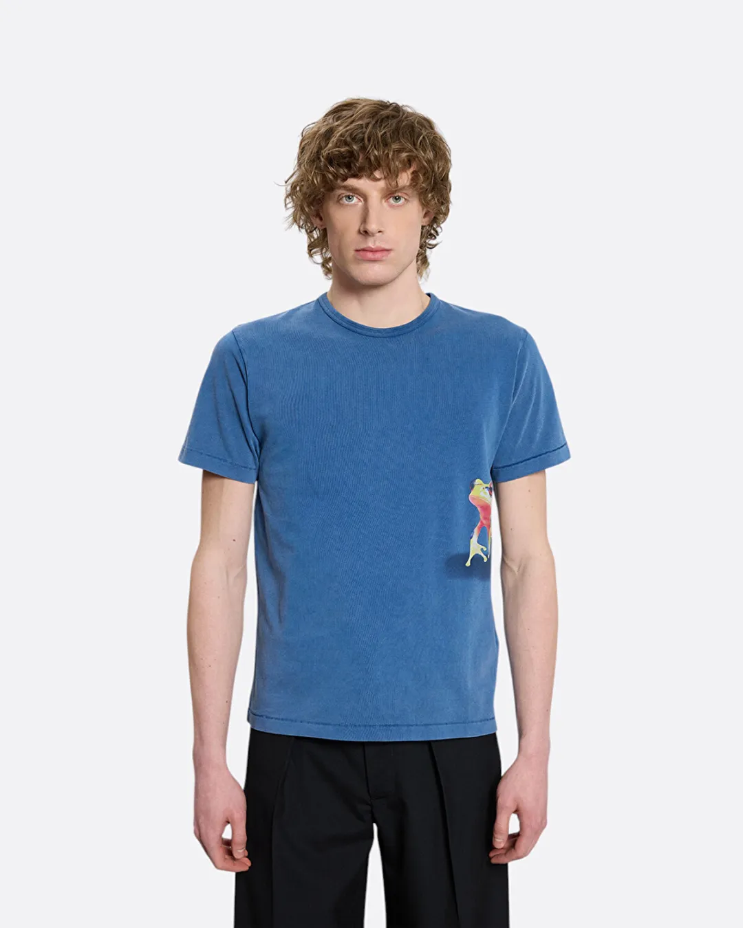 Peeking Frog Mavi Erkek T-Shirt - 3